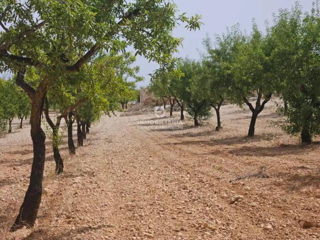 Terreno en Venta en La Romana