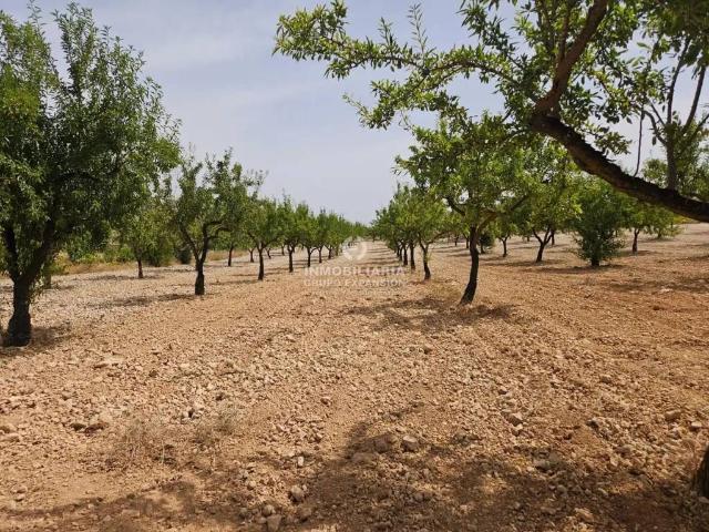 Terreno en Venta en La Romana