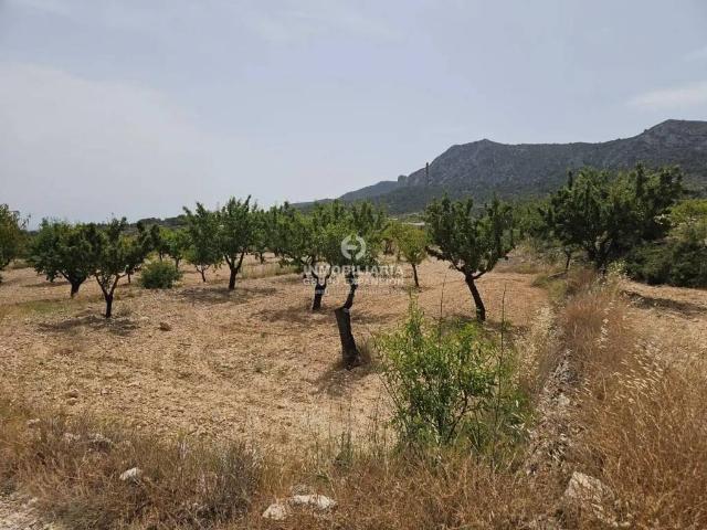 Terreno en Venta en La Romana