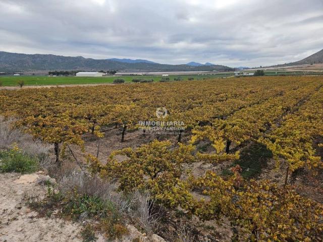 Terreno en Venta en La Romana