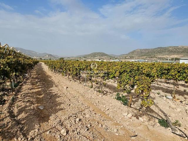 Terreno en Venta en La Romana