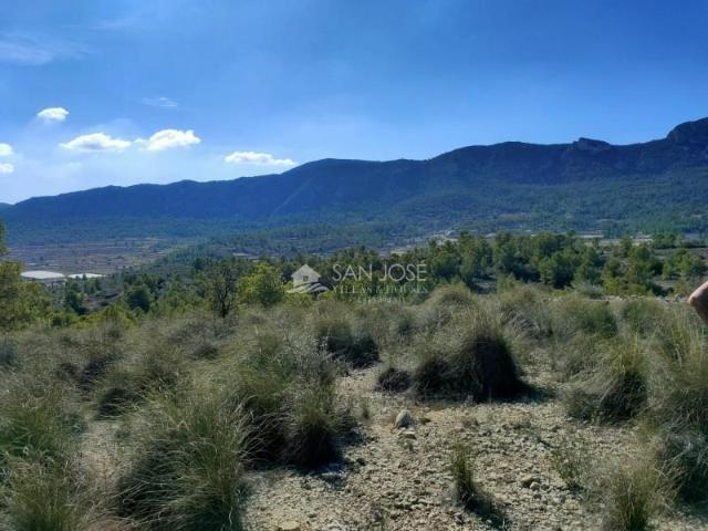 Terreno en venta en La Romana, EL ALGAYAT