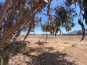 Terreno en Venta en La Serena