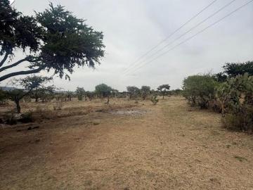 Terreno en Venta en La Tomatina al Poniente de la Ciudad P