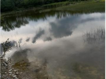Terreno en venta en La Unión Morales, San Carlos, Tamaulipas