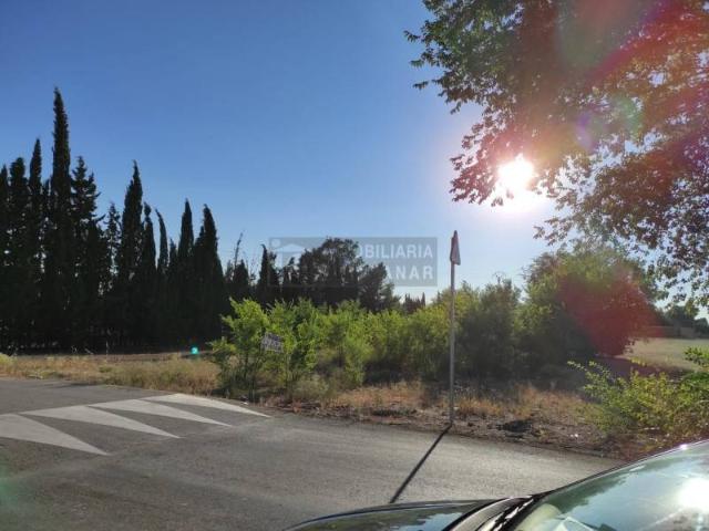 Terreno en Venta en La Villa de Don Fadrique
