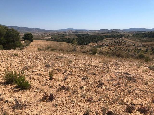 Terreno en Venta en La Zarza Badajoz