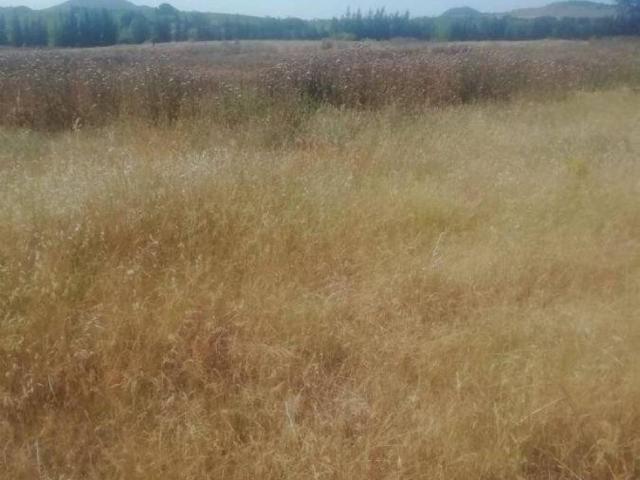 Terreno en Venta en La Zarza Badajoz