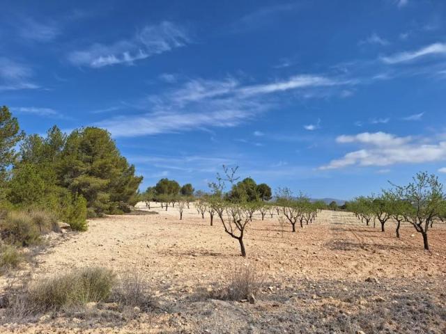 Terreno en venta en La Zarza