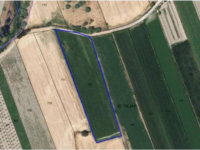 Terreno en Venta en Láchar