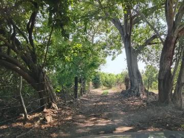 Terreno en venta en Ladislao Moreno, Tecomán, Colima