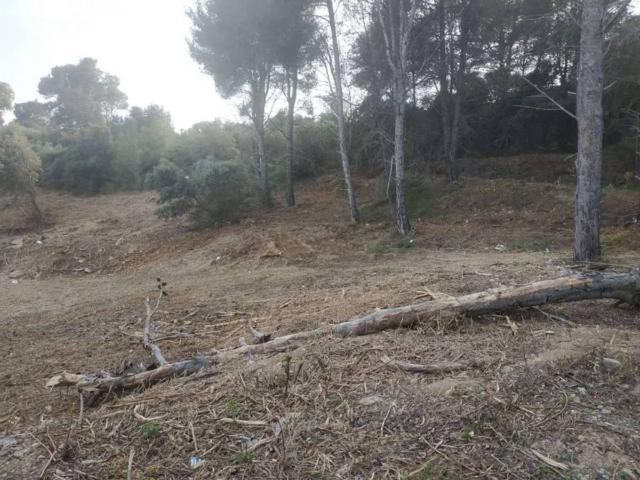 Terreno en Venta en L'Albiol