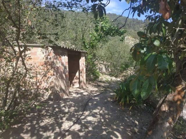 Terreno en Venta en L'Aleixar