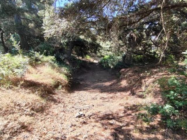 Terreno en venta en lAleixar