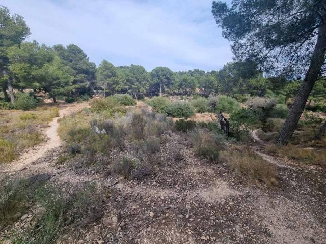 Terreno en Venta en L'Alfàs del Pi