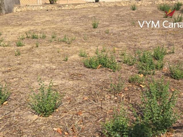 Terreno en Venta en L'Alfàs del Pi