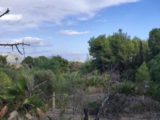 Terreno en Venta en L'Alfàs del Pi