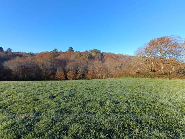 Terreno en Venta en Lalín