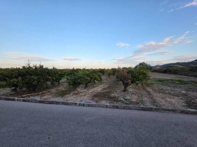 Terreno en Venta en L'Alqueria de la Comtessa