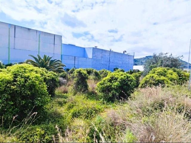 Terreno en Venta en L'Alqueria de la Comtessa