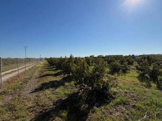 Terreno en Venta en L'Alqueria de la Comtessa