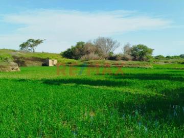 Terreno en venta en Lambayeque a S/8,860,408