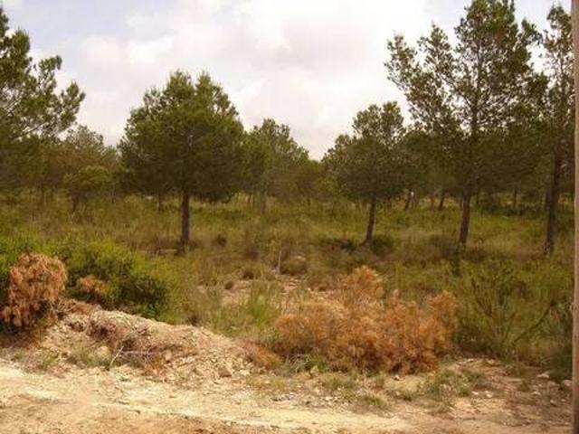 Terreno en Venta en L'Ametlla de Mar