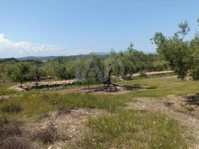 Terreno en Venta en L'Ametlla de Mar