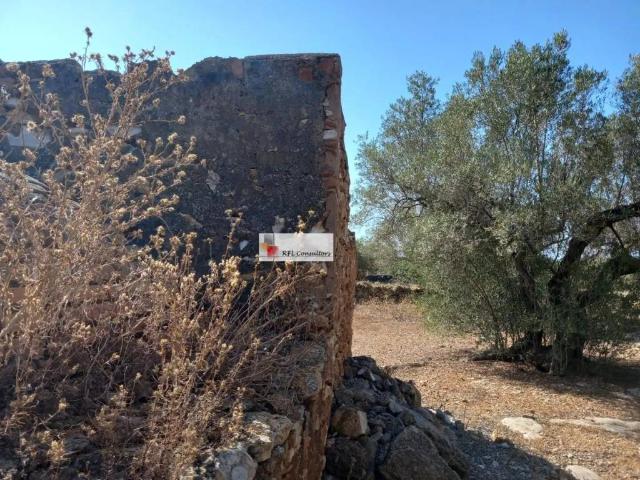 Terreno en Venta en L'Ampolla