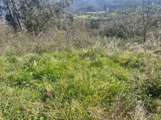 Terreno en Venta en Langreo