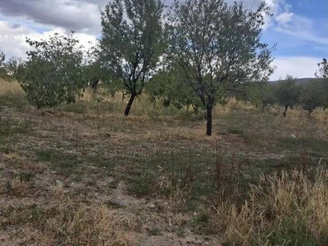 Terreno en Venta en Lanteira