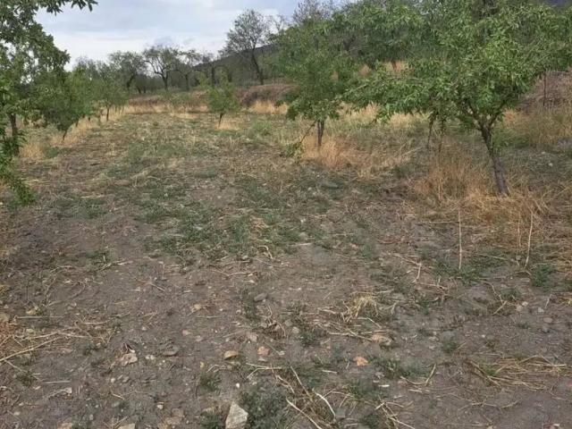 Terreno en Venta en Lanteira