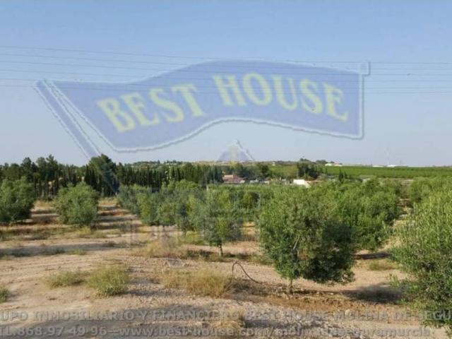 Terreno en Venta en Las Torres de Cotillas