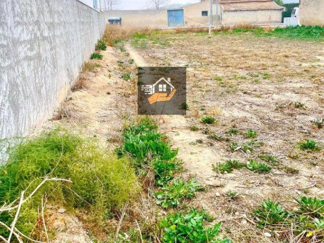 Terreno en venta en Las Torres de Cotillas, Zonas Rusticas