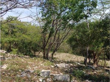 Terreno en venta en Las Bóvedas, Tlaquiltenango, Morelos