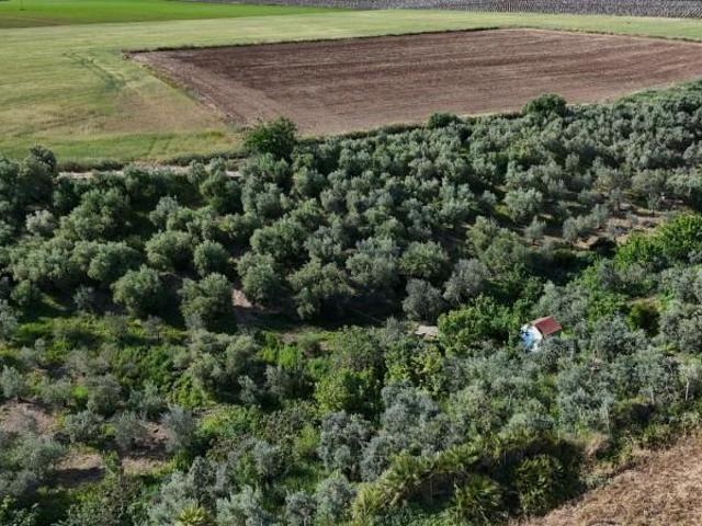 Terreno en venta en Las Cabezas de San Juan, POLIGONO 27 PARCELA, 41730