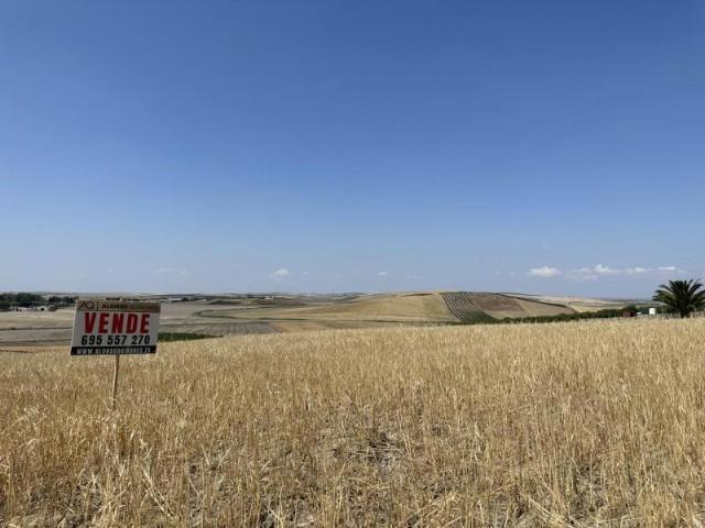 Terreno en venta en Las Cabezas de San Juan, ZONA CERRO BENACAZON