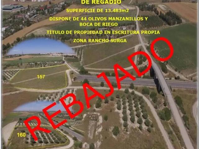 Terreno en Venta en Las Cabezas de San Juan