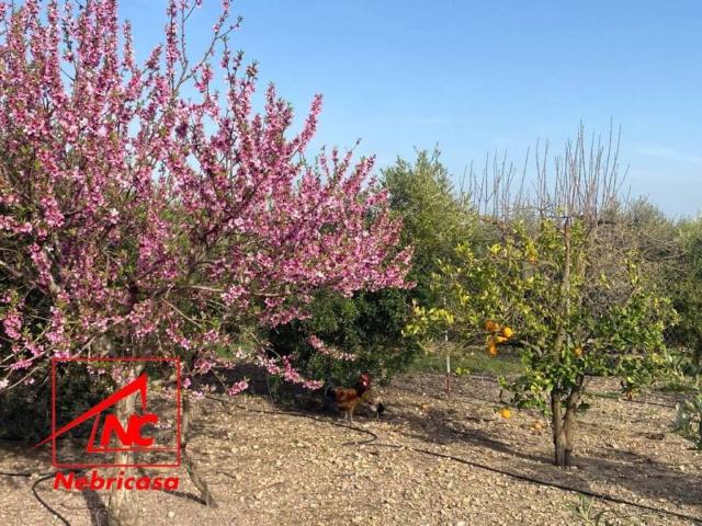 Terreno en Venta en Las Cabezas de San Juan