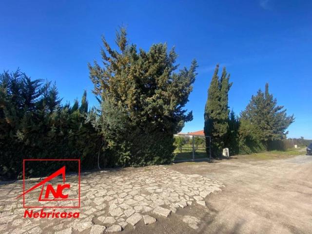 Terreno en Venta en Las Cabezas de San Juan