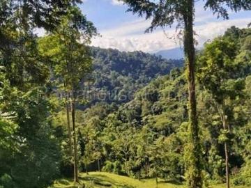 Terreno en Venta en Las Delicias, Chaguinola