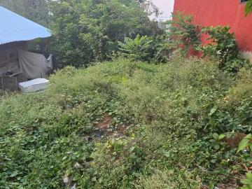 Terreno en venta en Las Flores, Teapa, Tabasco