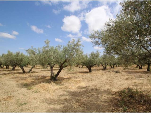 Terreno en Venta en Las Gabias