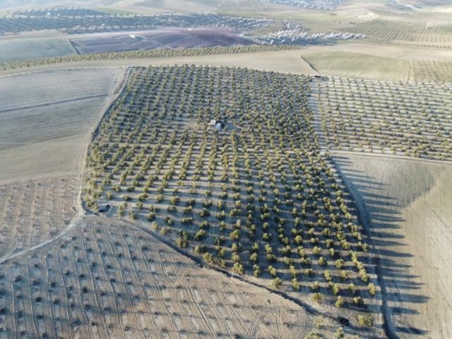 Terreno en venta en Las Gabias, Gabias Las