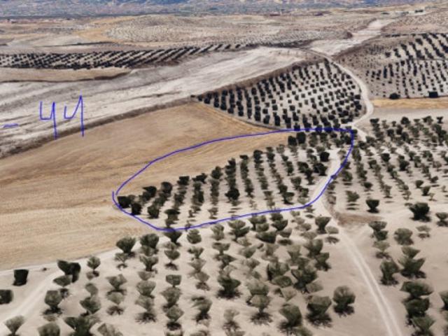 Terreno en venta en Las Gabias, Las Gabias