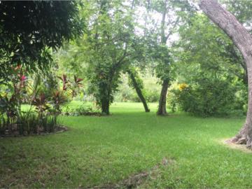 Terreno en venta en Las Higueras, Vega de Alatorre, Veracruz de Ignacio de la Llave