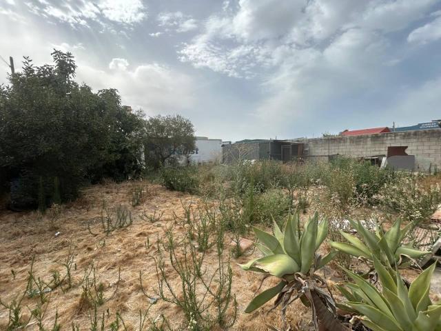 Terreno en venta en Las Palmeras Dehesilla