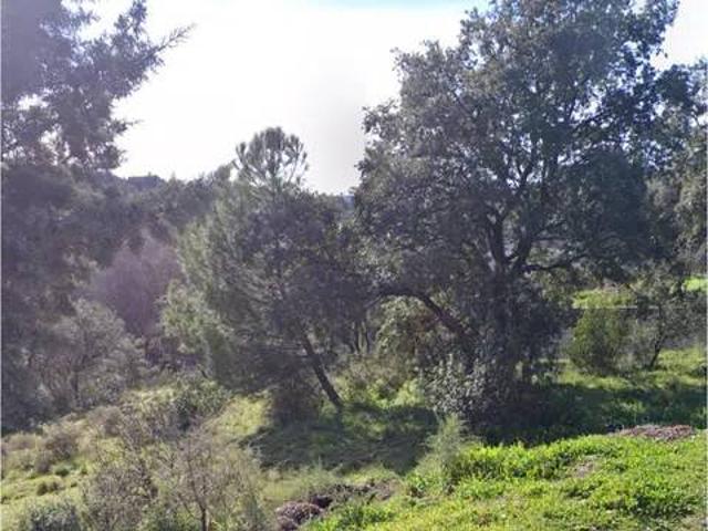 Terreno en Venta en Las Rozas de Madrid