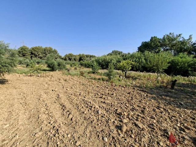 Terreno en Venta en L'Arboç