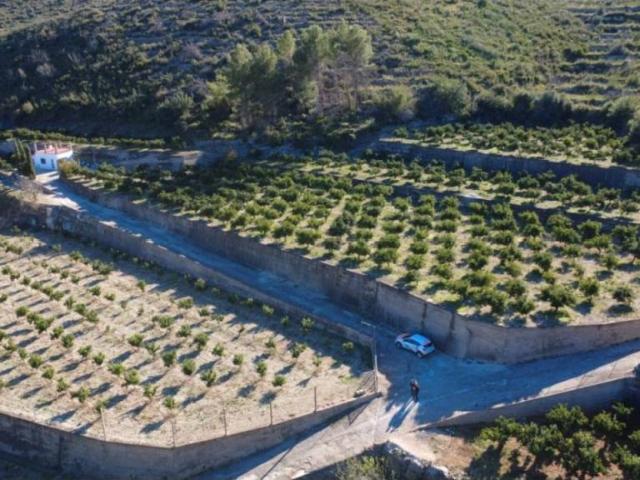 Terreno en Venta en L'Atzúbia